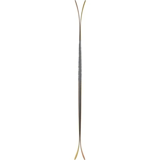 Majesty Dirty Bear XL 22/23 – Image 3
